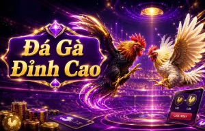 Giao diện Đá Gà DAGA trên khiratalmazraa.com